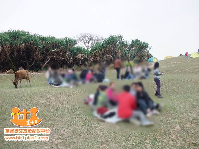 識新朋友活動